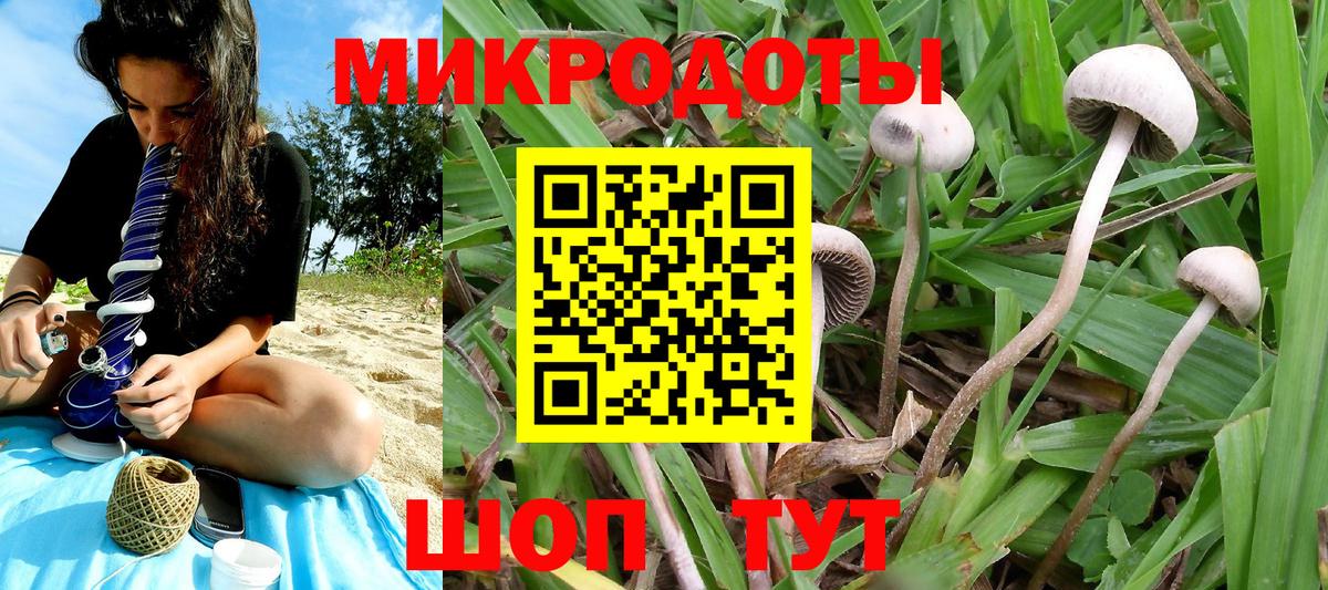 Серов  Галлюциногенные грибы Magic Shrooms  Вход с VPN 